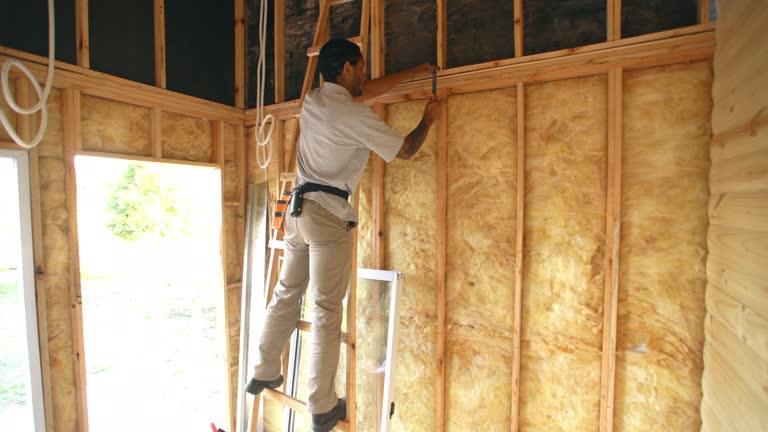 Best Insulation Air Sealing  in Everson, WA