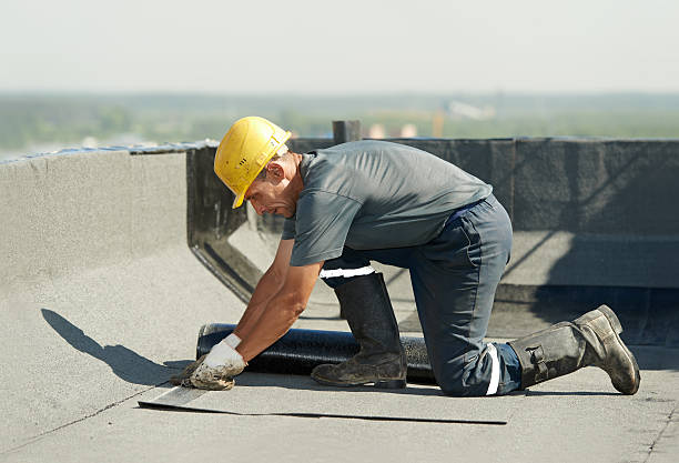 Best Attic Insulation Installation  in Everson, WA