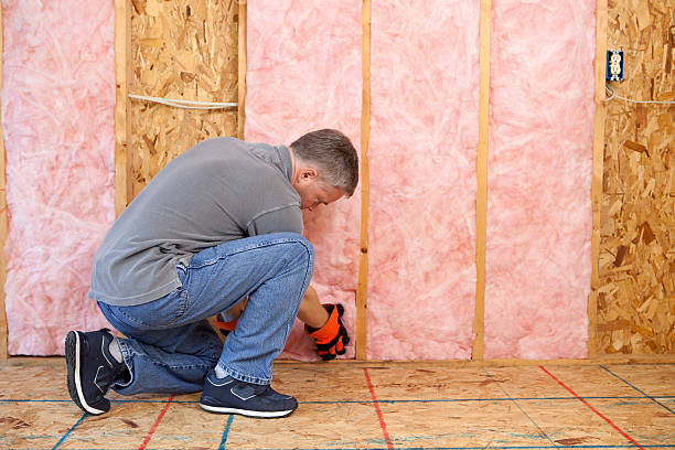 Best Fireproof Insulation  in Everson, WA